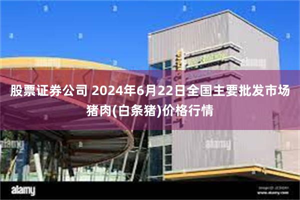 股票证券公司 2024年6月22日全国主要批发市场猪肉(白条猪)价格行情