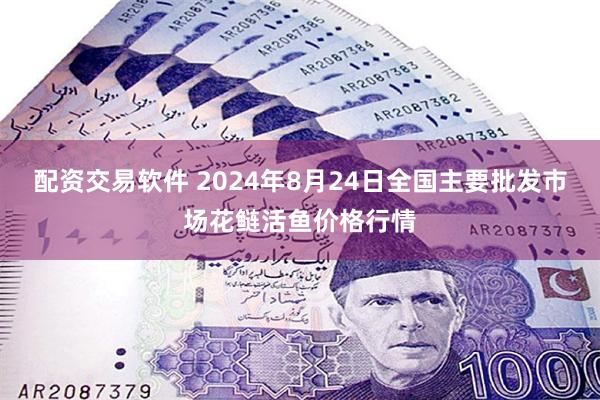 配资交易软件 2024年8月24日全国主要批发市场花鲢活鱼价格行情