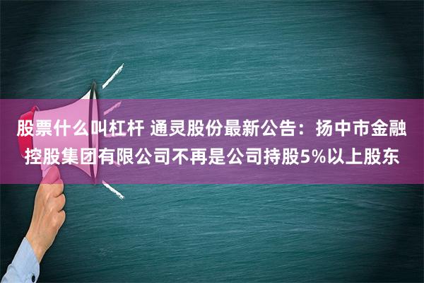 股票什么叫杠杆 通灵股份最新公告：扬中市金融控股集团有限公司不再是公司持股5%以上股东