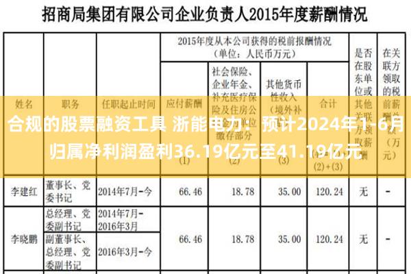 合规的股票融资工具 浙能电力：预计2024年1-6月归属净利润盈利36.19亿元至41.19亿元