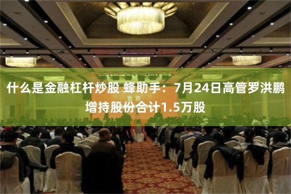 什么是金融杠杆炒股 蜂助手：7月24日高管罗洪鹏增持股份合计1.5万股