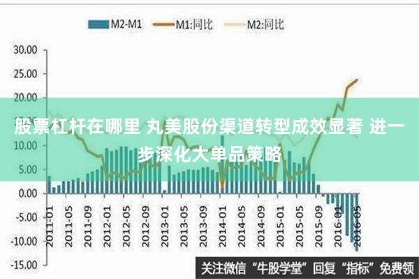 股票杠杆在哪里 丸美股份渠道转型成效显著 进一步深化大单品策略