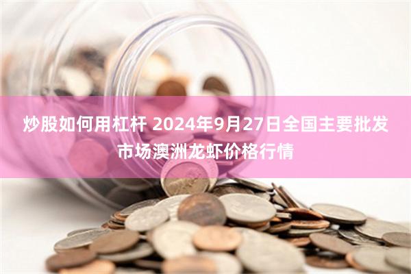 炒股如何用杠杆 2024年9月27日全国主要批发市场澳洲龙虾价格行情