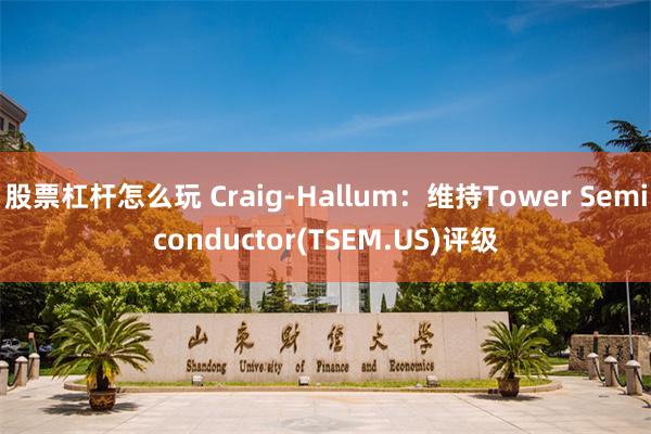 股票杠杆怎么玩 Craig-Hallum：维持Tower Semiconductor(TSEM.US)评级