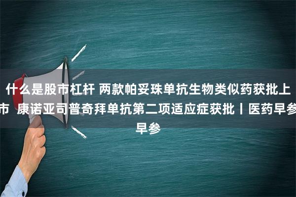 什么是股市杠杆 两款帕妥珠单抗生物类似药获批上市  康诺亚司普奇拜单抗第二项适应症获批丨医药早参