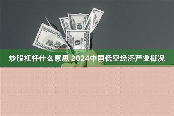 炒股杠杆什么意思 2024中国低空经济产业概况