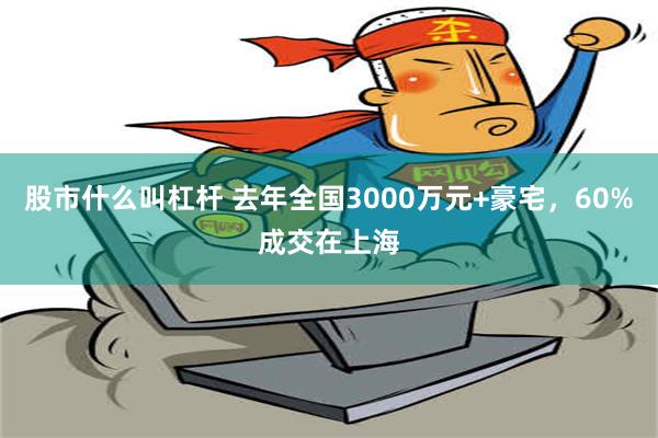 股市什么叫杠杆 去年全国3000万元+豪宅，60%成交在上海