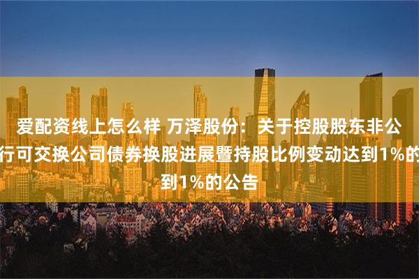 爱配资线上怎么样 万泽股份：关于控股股东非公开发行可交换公司债券换股进展暨持股比例变动达到1%的公告